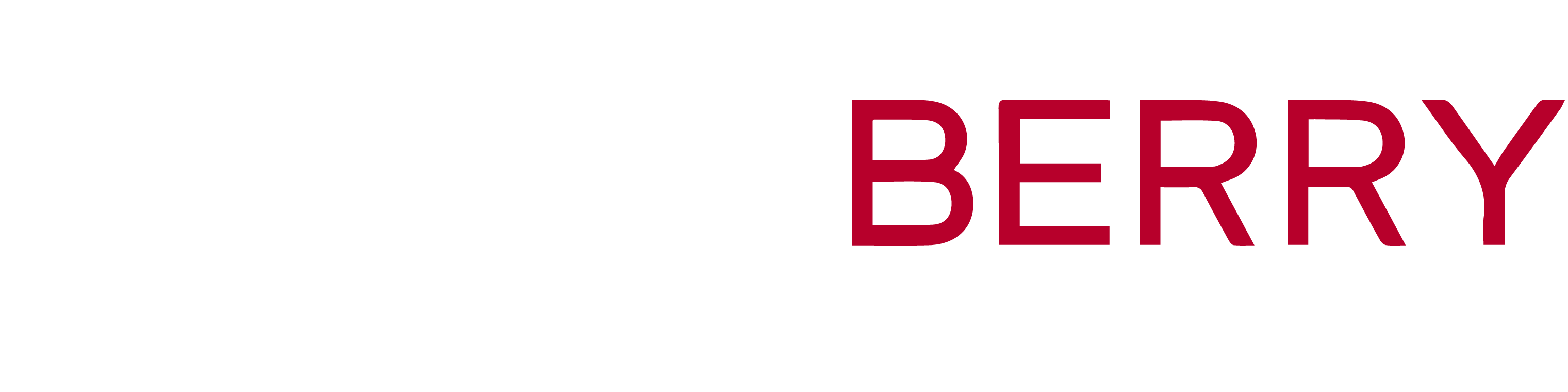 NexusBerry logo